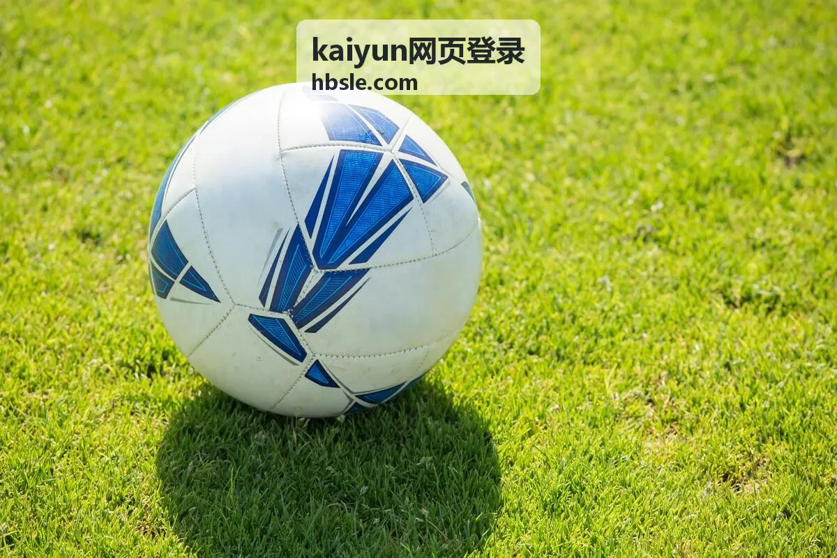 kaiyun网页登录电脑端入口页面完整表单示意